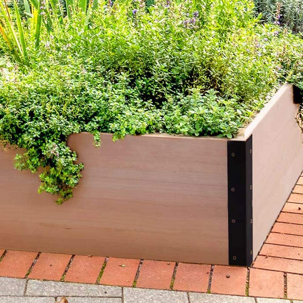 71WTTTTWHEA7L._AC_SL1000_